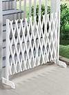 Expandable Lattice Fence